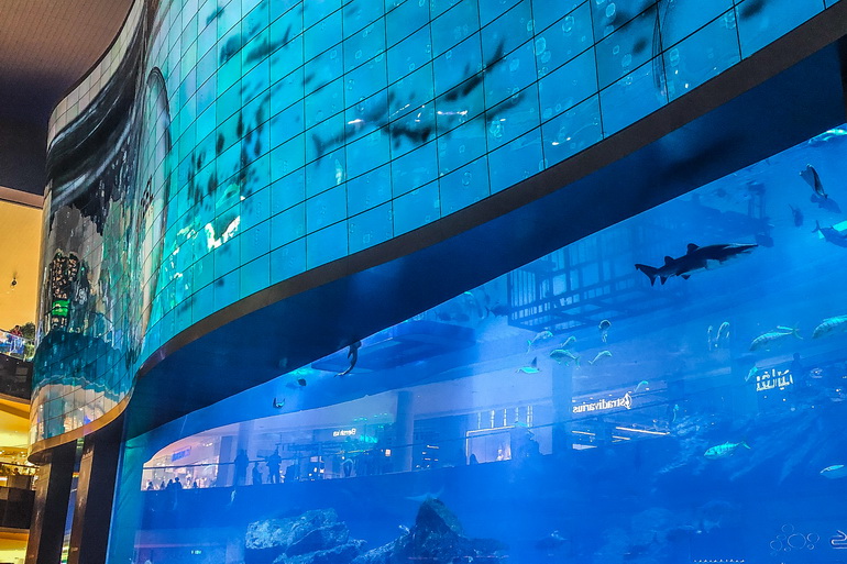 Dubai Mall - Akvarijum