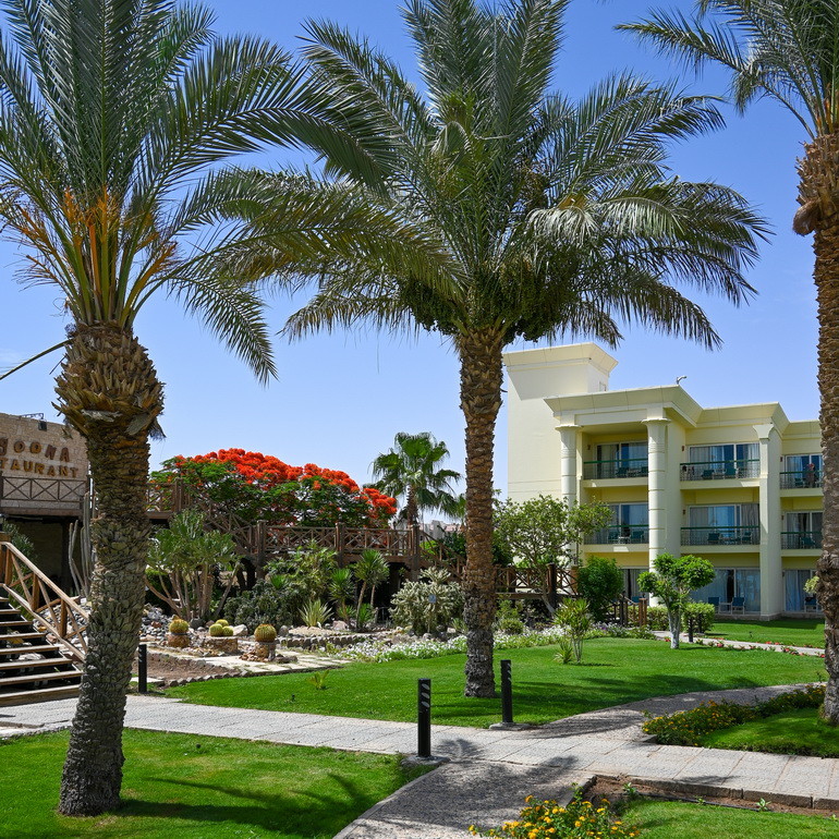 hurgada iskustva hotel