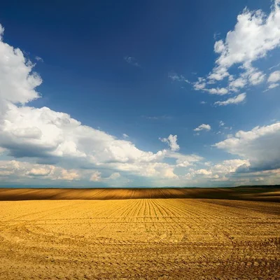 deliblatksa peščara izlet