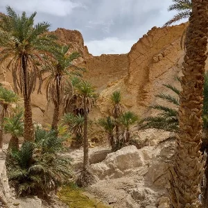 tunis-letovanje-iskustva