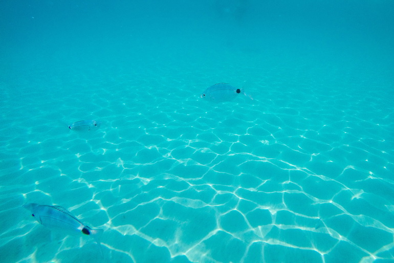 Marcello beach - ostrvo Paros