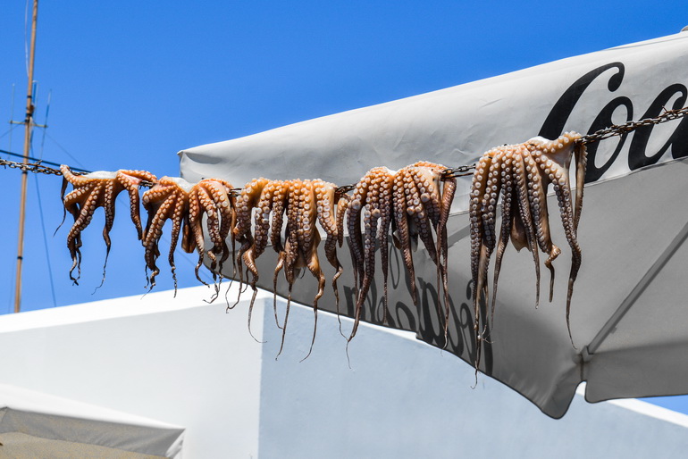 Ulovljene hobotnice u mestu Naousa na Parosu